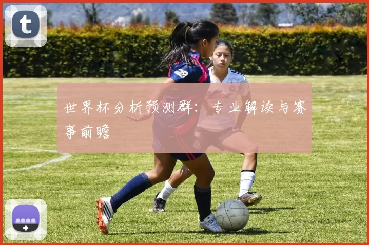 世界杯分析预测群:专业解读与赛事前瞻