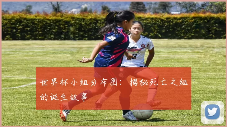 世界杯小组分布图：揭秘死亡之组的诞生故事
