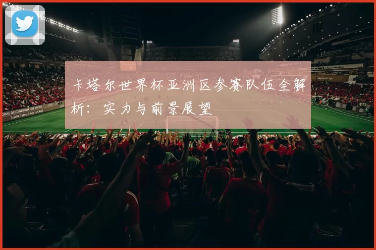 卡塔尔世界杯亚洲区参赛队伍全解析:实力与前景展望