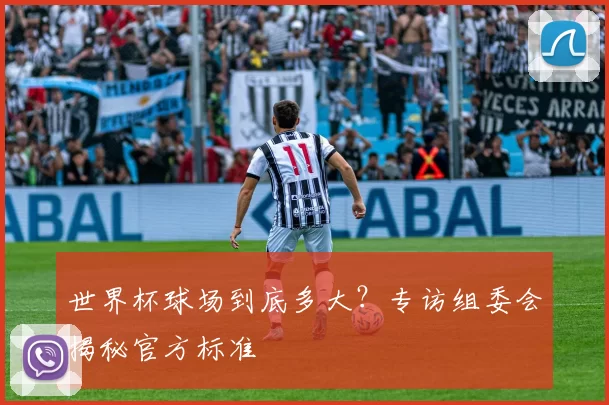 世界杯球场到底多大?专访组委会揭秘官方标准