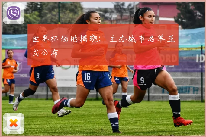 世界杯场地揭晓:主办城市名单正式公布