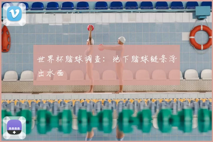 世界杯赌球调查:地下赌球链条浮出水面