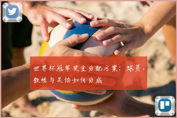 世界杯冠军奖金分配方案:球员、教练与足协如何分成