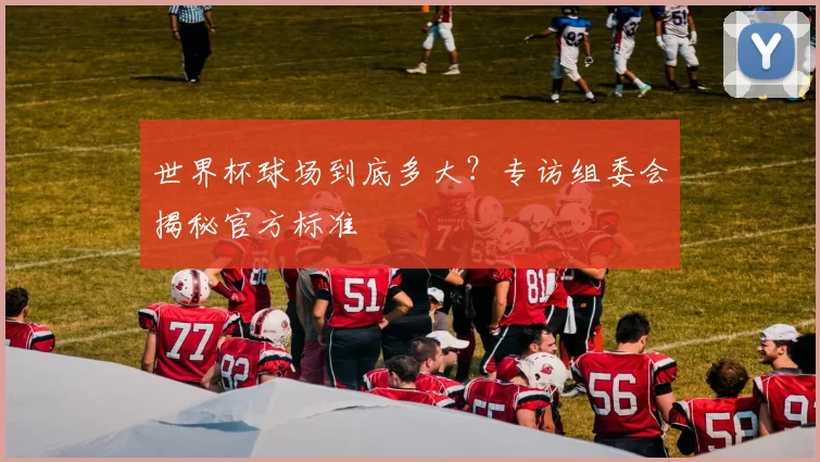 世界杯球场到底多大?专访组委会揭秘官方标准