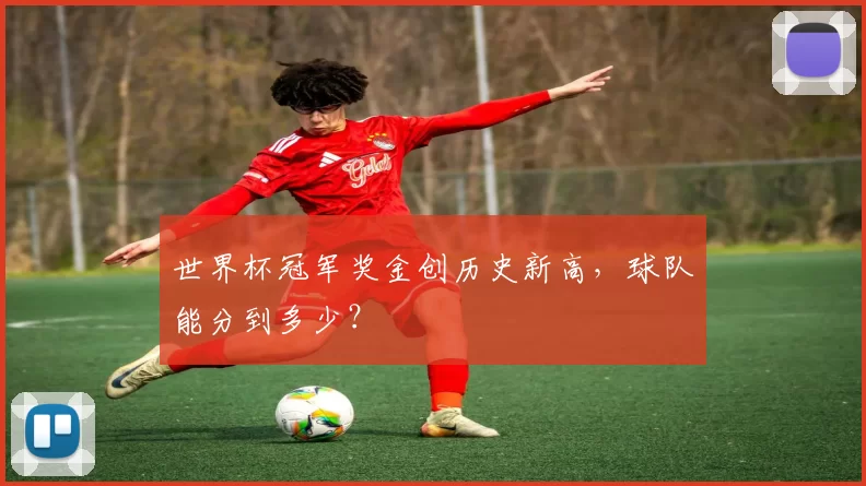世界杯冠军奖金创历史新高，球队能分到多少？