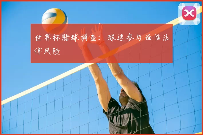 世界杯赌球调查:球迷参与面临法律风险