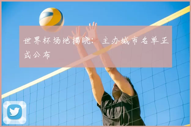 世界杯场地揭晓:主办城市名单正式公布