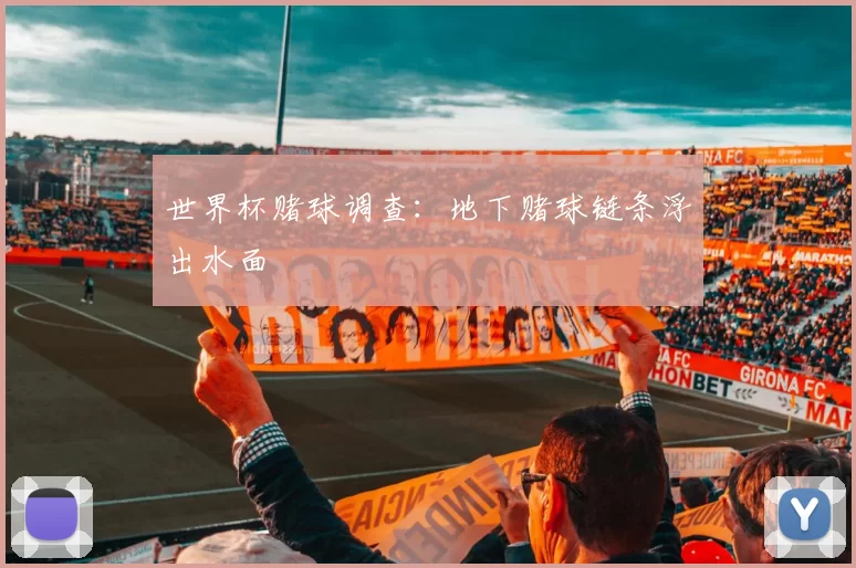 世界杯赌球调查:地下赌球链条浮出水面