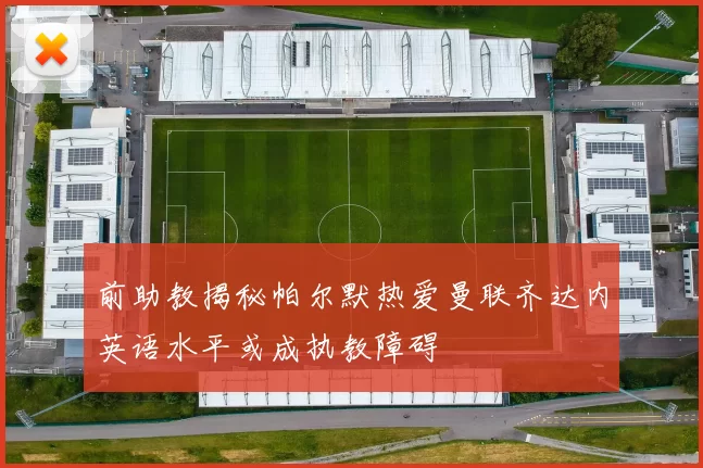 前助教揭秘帕尔默热爱曼联齐达内英语水平或成执教障碍