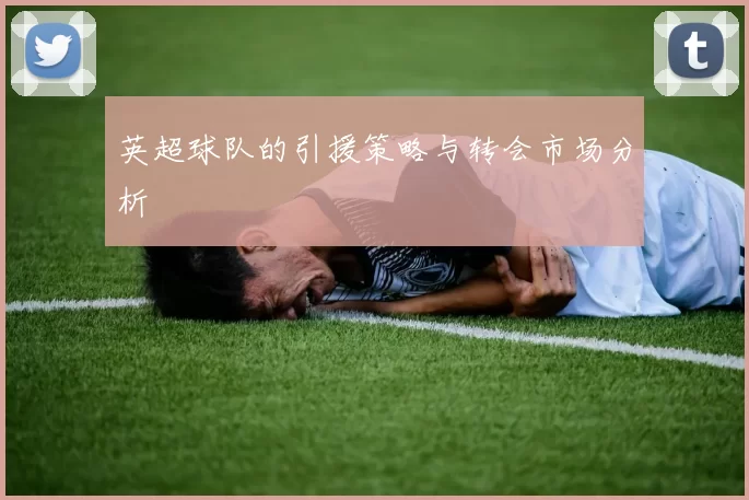 英超球队的引援策略与转会市场分析