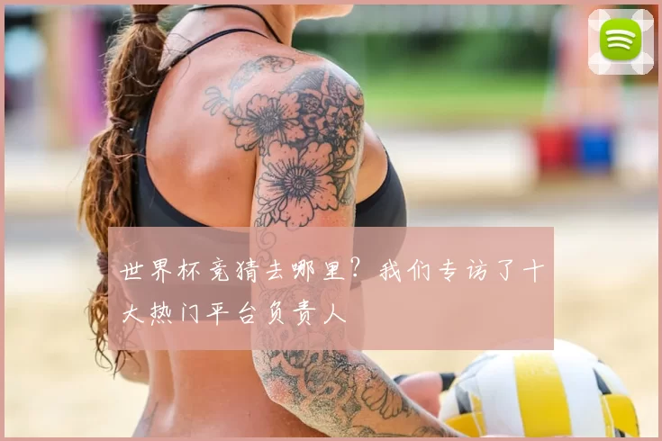 世界杯竞猜去哪里？我们专访了十大热门平台负责人