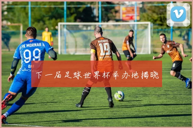 下一届足球世界杯举办地揭晓